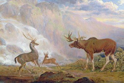 Der Elch des Earl of Orford aus Norwegen, Antilope aus Afrika und Hirsch von der Prinzeninsel von George Garrard